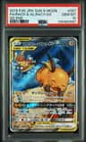 Raichu & Alolan Raichu Gx