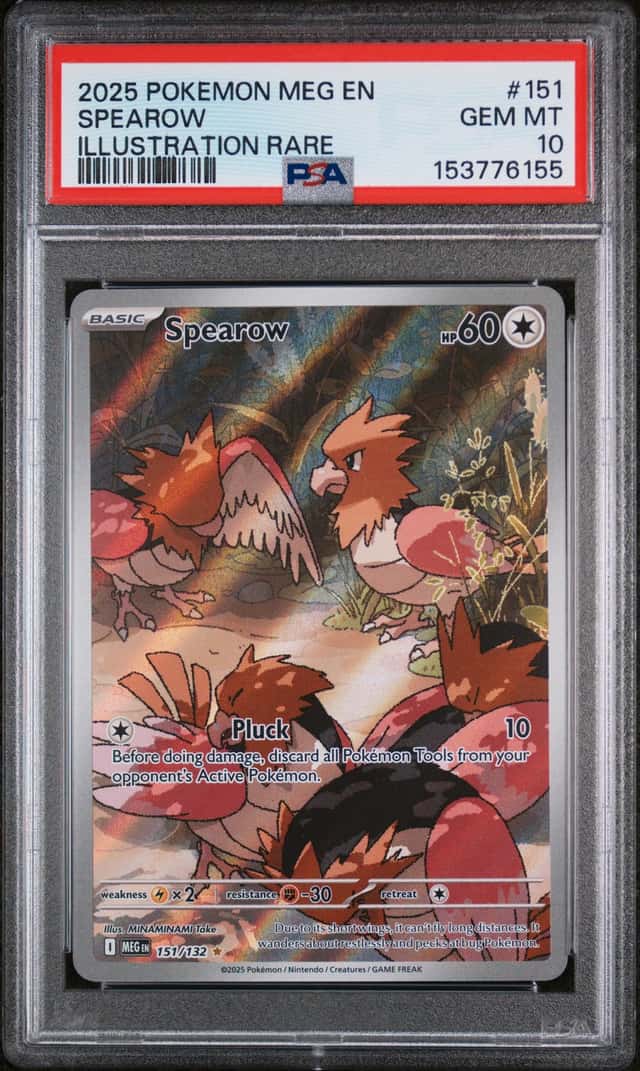 Spearow