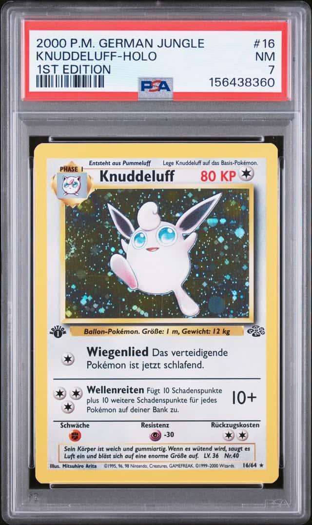 Knuddeluff