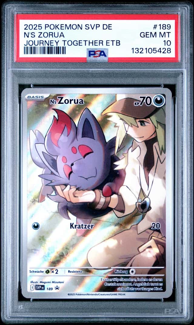 N's Zorua