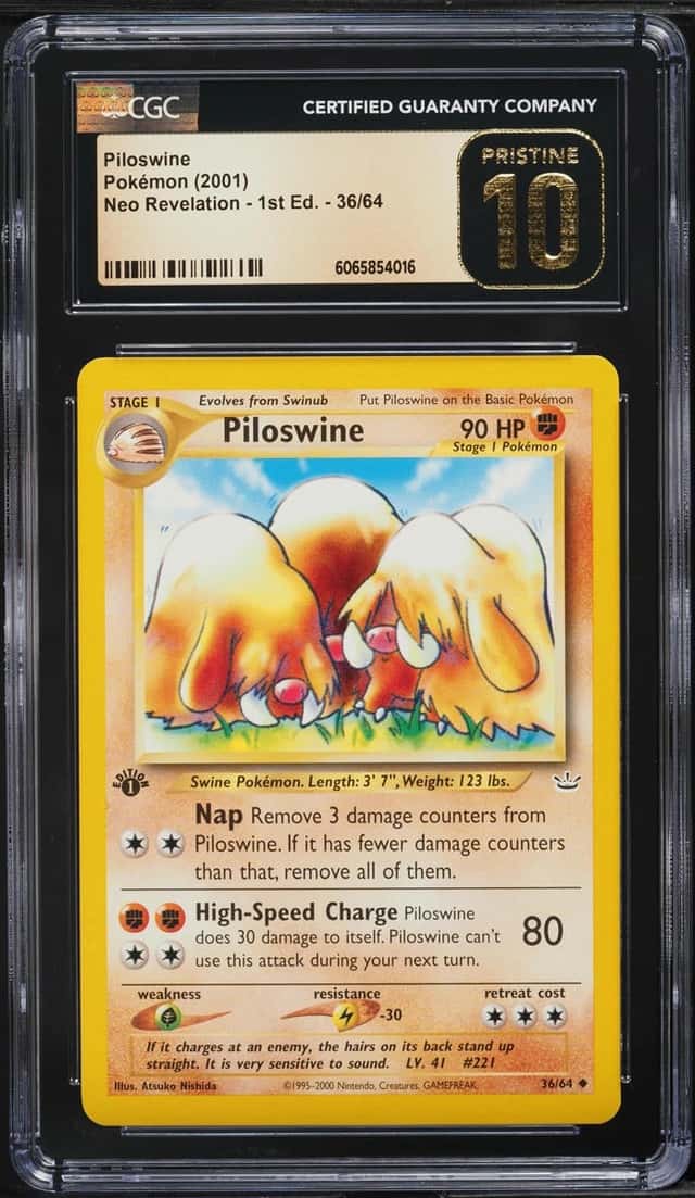 Piloswine