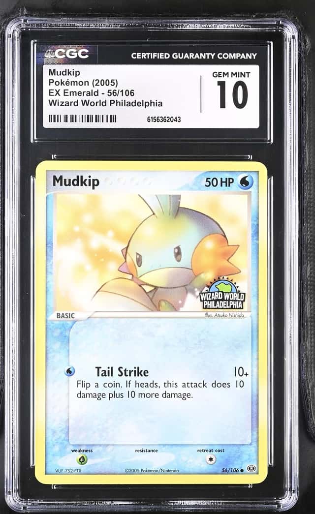 Mudkip