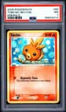 Torchic