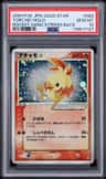 Torchic