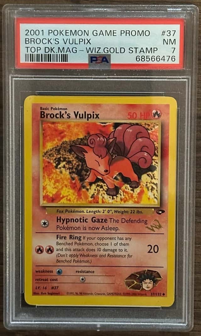 Brock's Vulpix