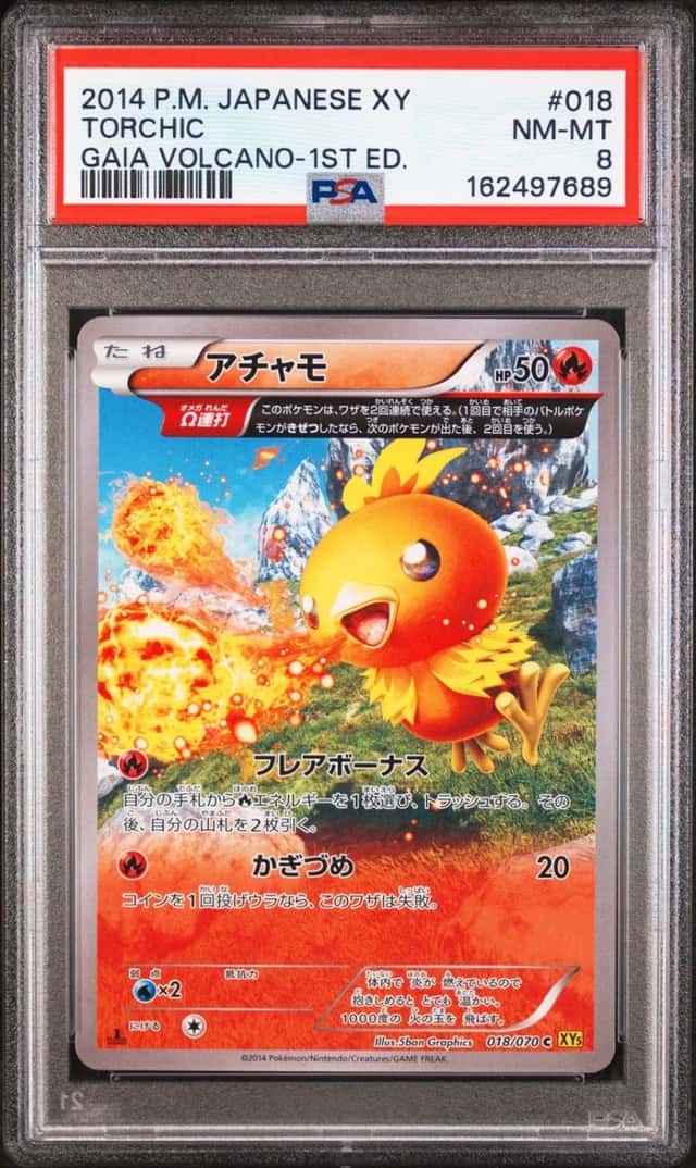 Torchic