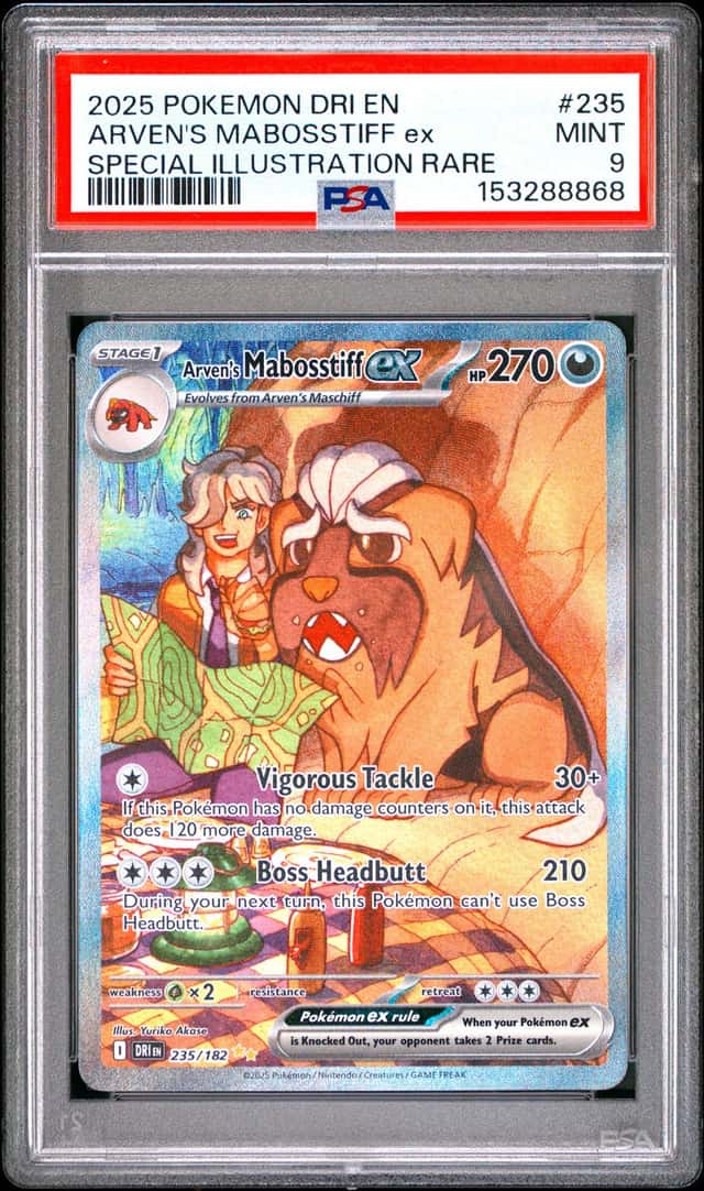 ARVEN'S MABOSSTIFF ex
