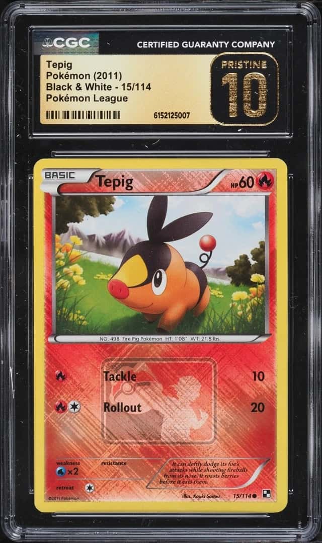 Tepig