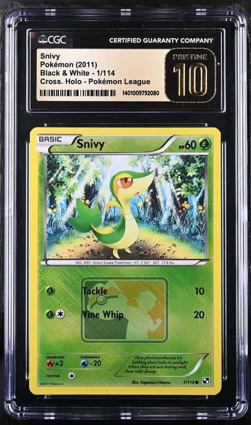Snivy