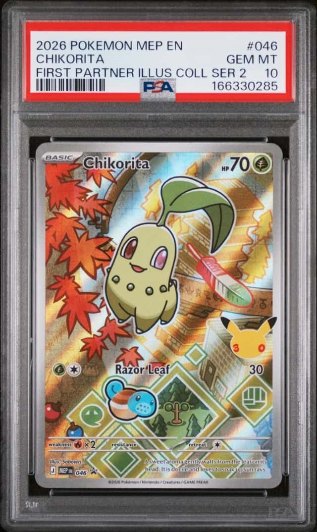 Chikorita