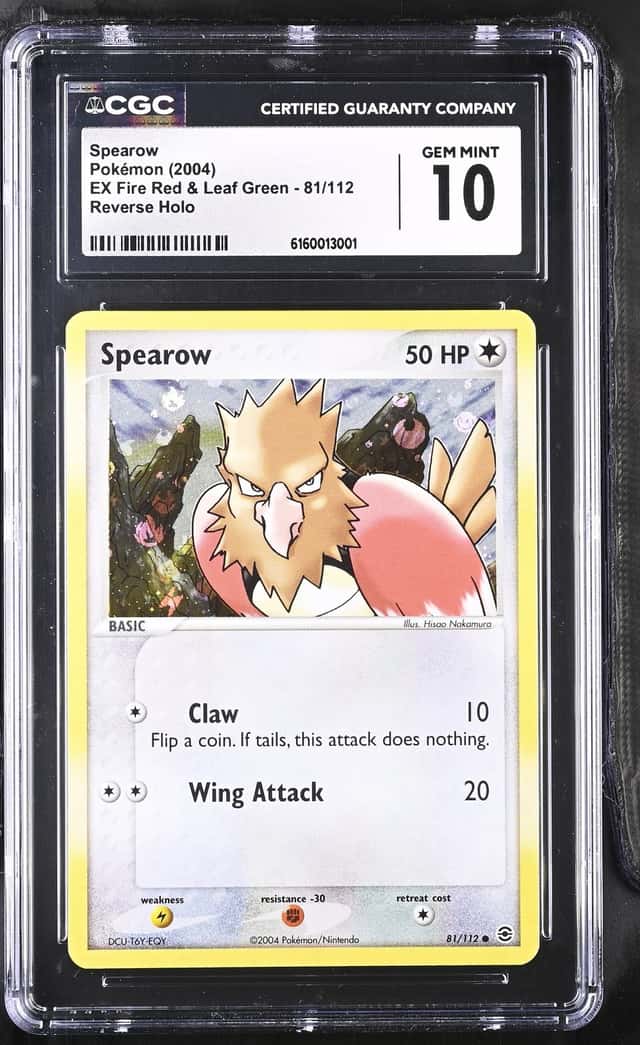 Spearow