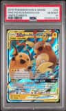 Raichu & Alolan Raichu Gx