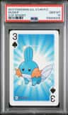Mudkip