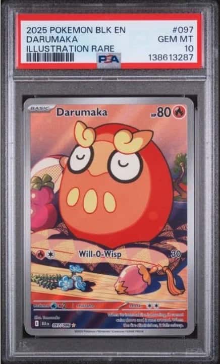 Darumaka