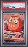 Darumaka