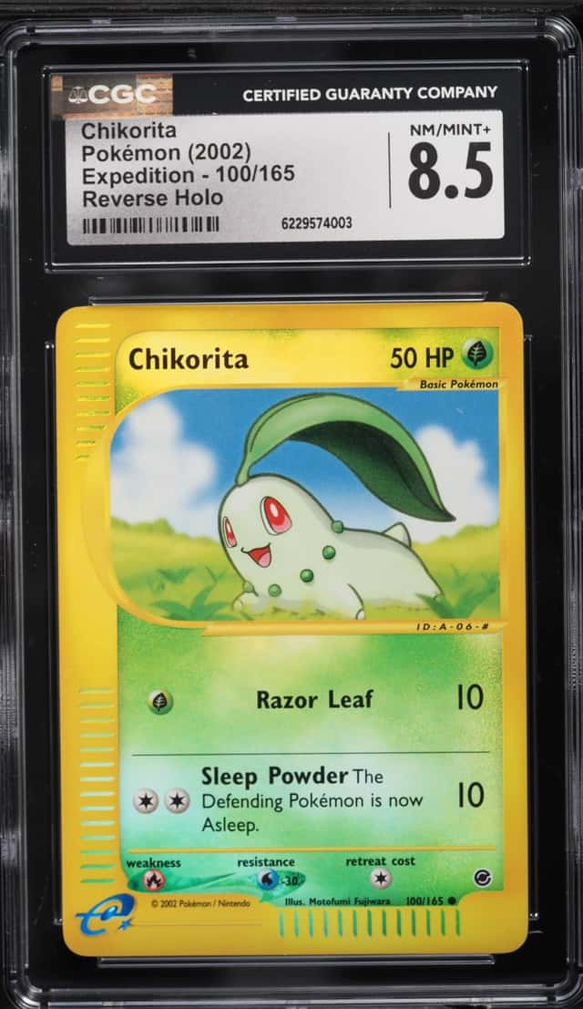 Chikorita