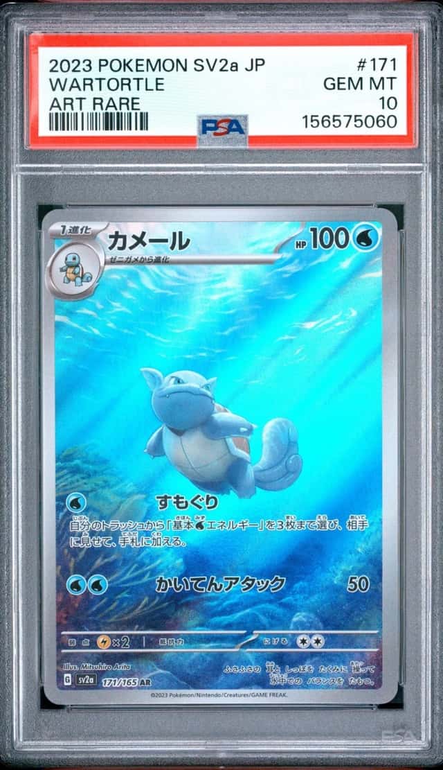 Wartortle