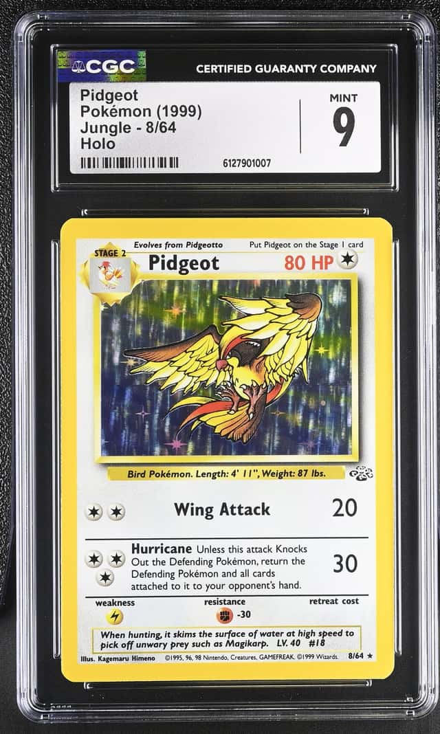 Pidgeot