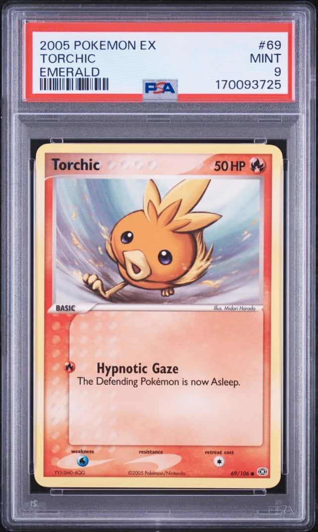 Torchic