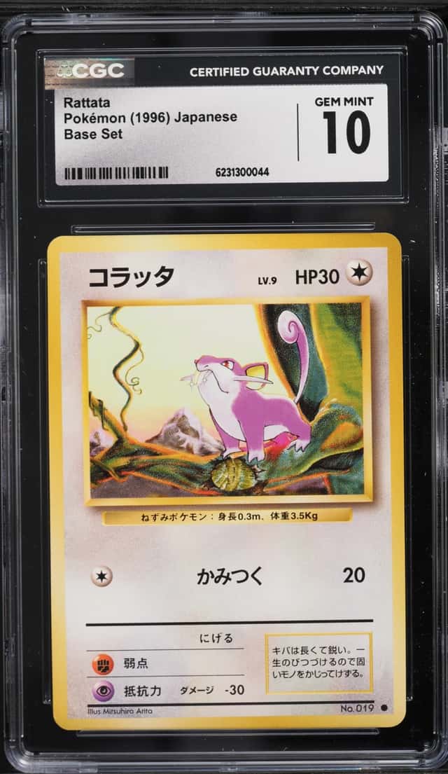 Rattata