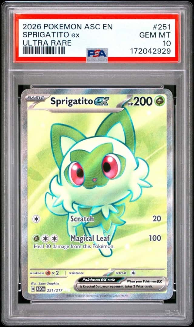 SPRIGATITO ex