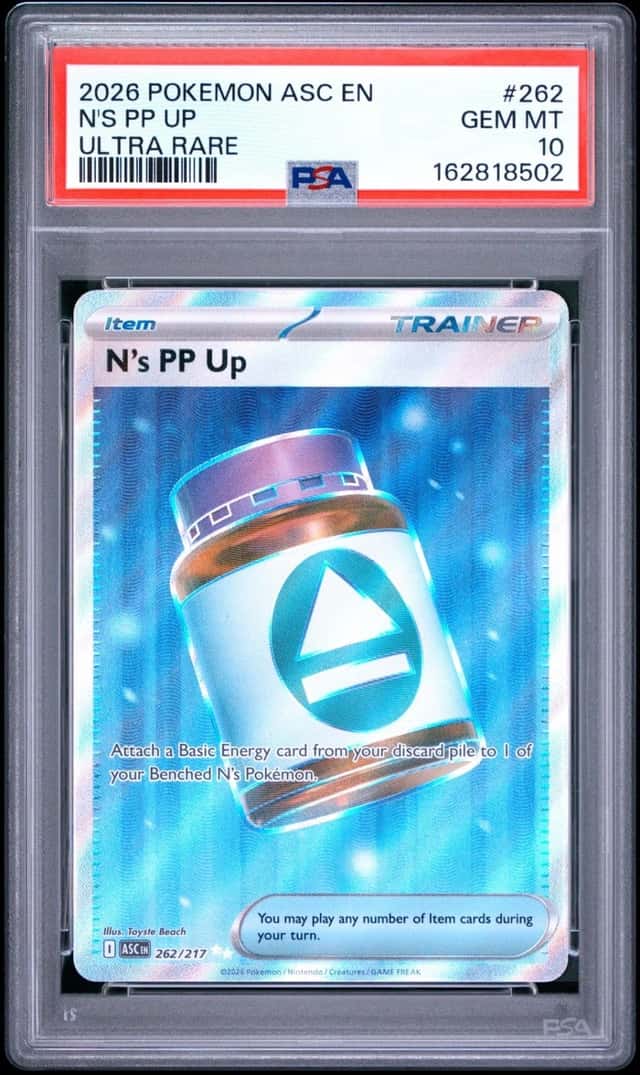 N's PP Up
