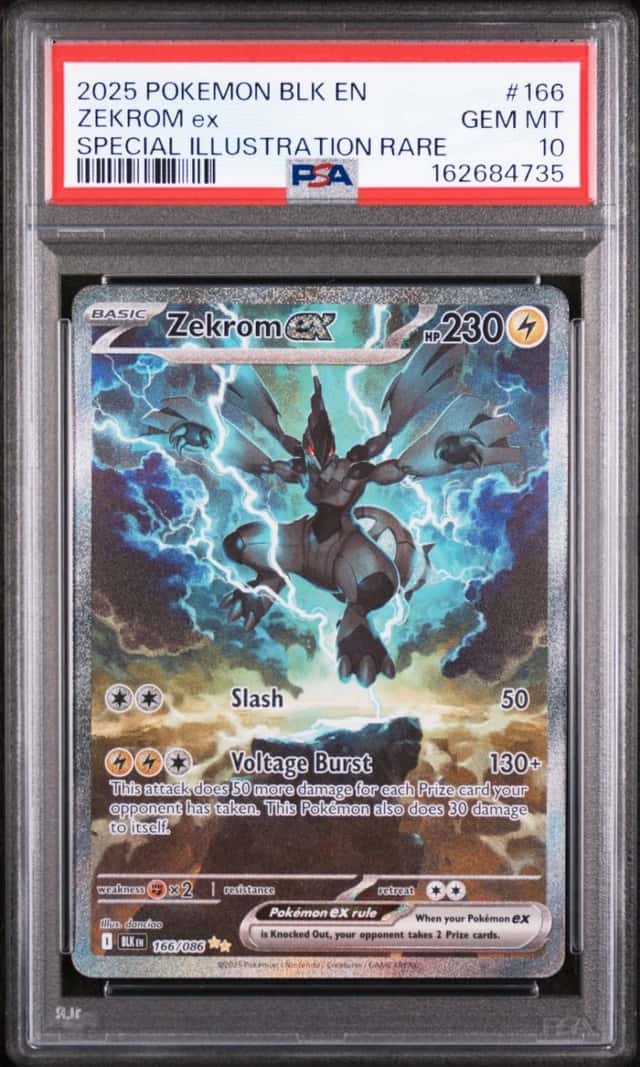 ZEKROM ex