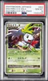 Shaymin Lv X