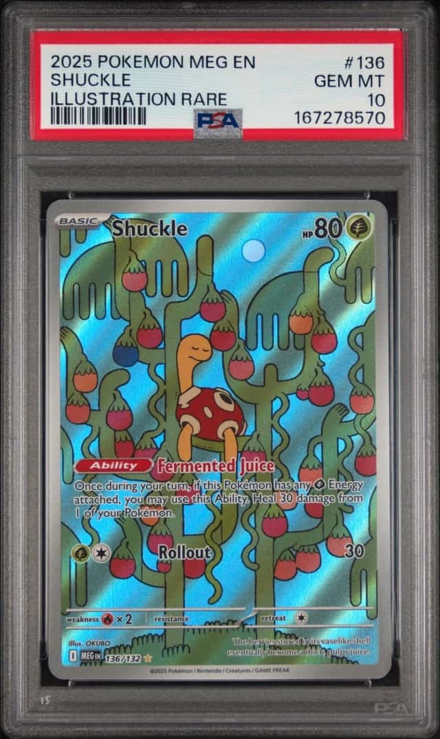 Shuckle
