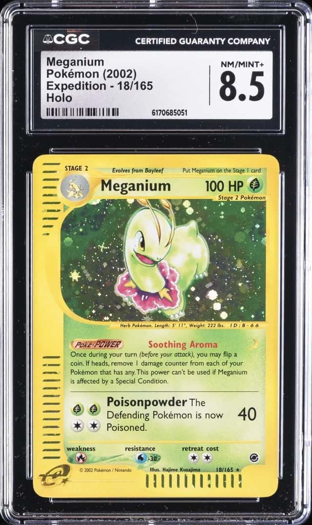 Meganium
