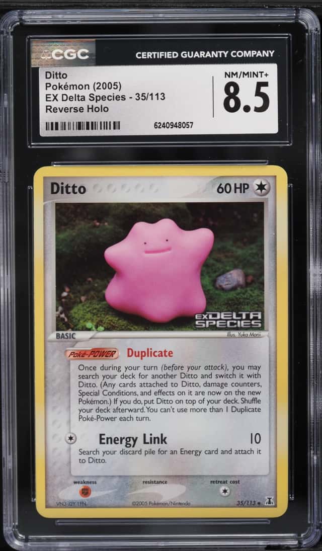 Ditto