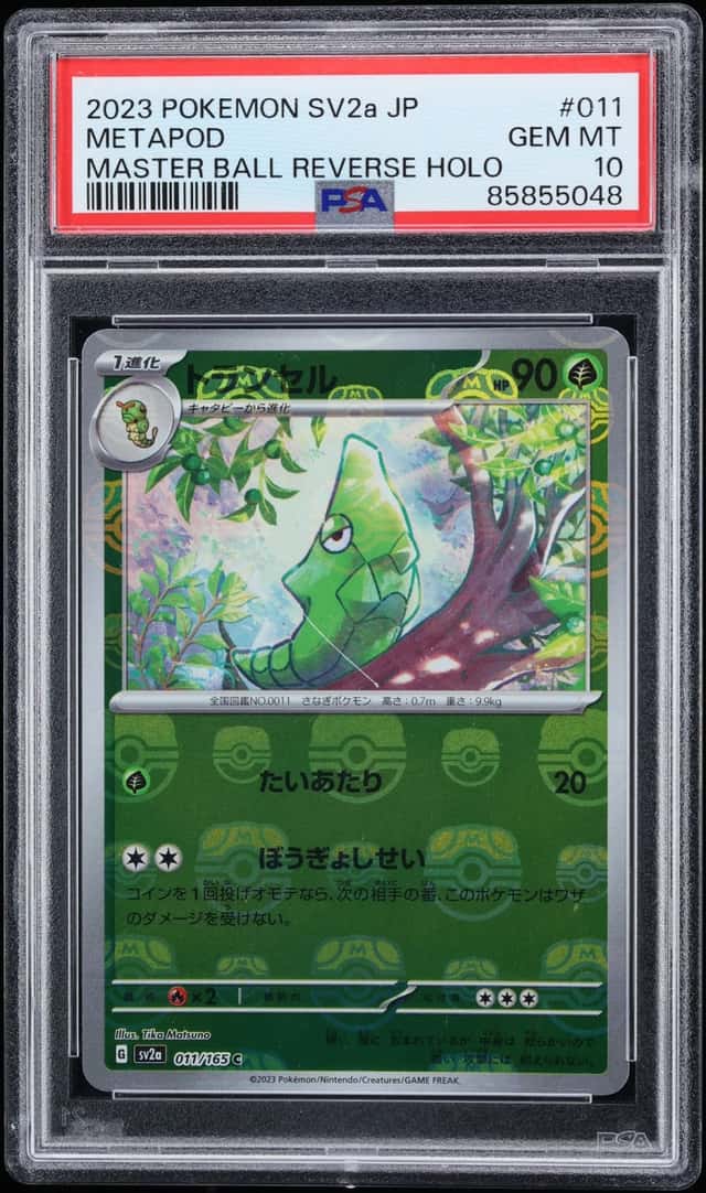 Metapod