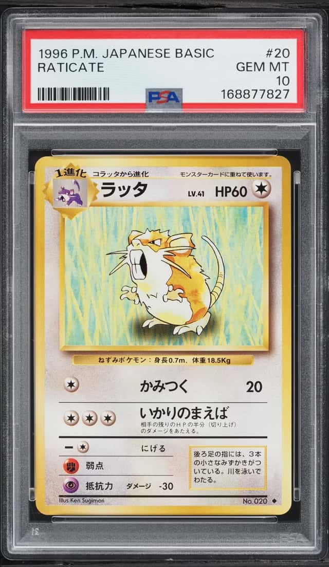 Raticate