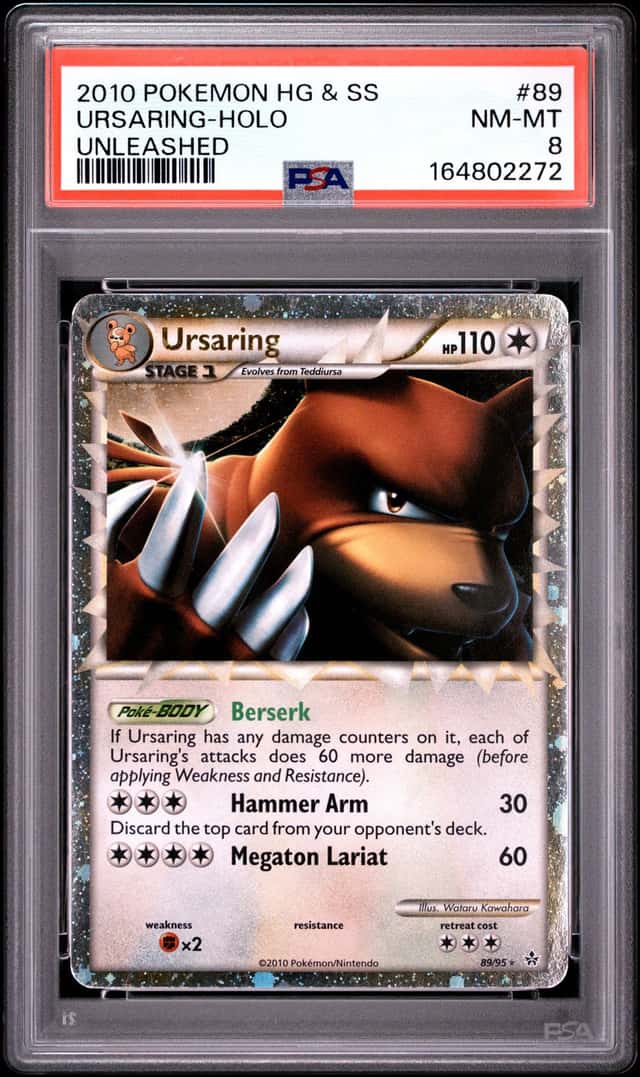 Ursaring
