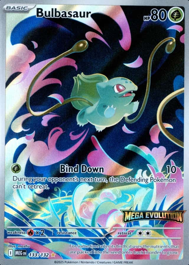 Box Topper