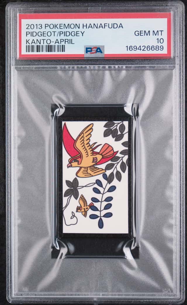 Pidgeot/Pidgey