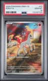 Ponyta