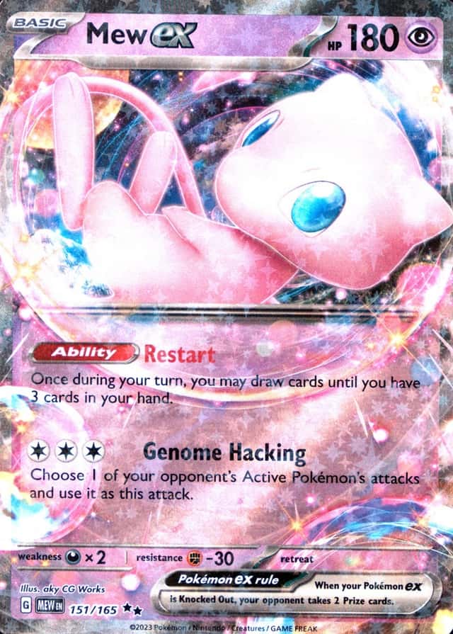 Holo