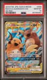 Raichu & Alolan Raichu Gx