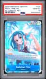 Nefeltari Vivi