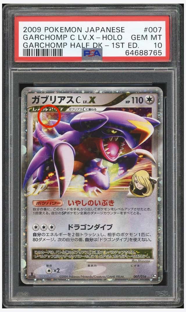 GARCHOMP C LV.X