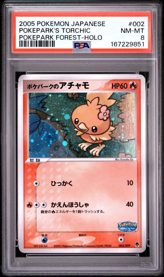 Pokepark's Torchic