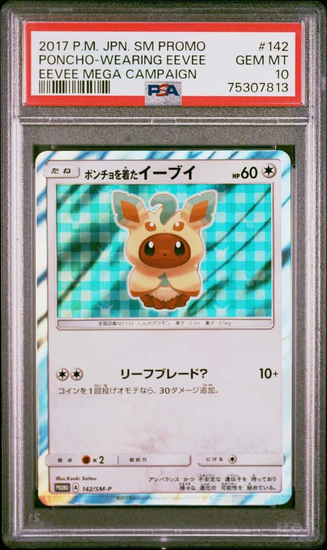 Poncho-Wearing Eevee