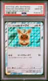 Poncho-Wearing Eevee