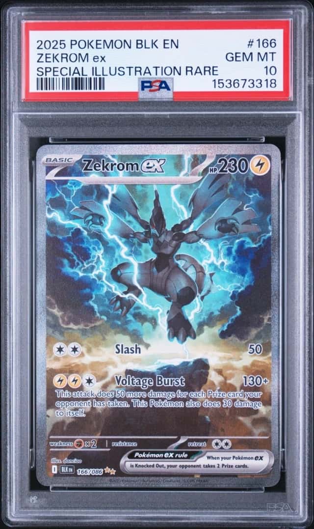 ZEKROM ex