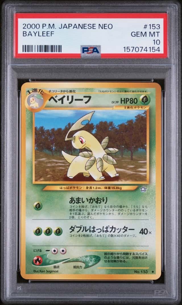 Bayleef