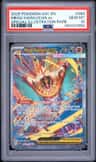 Mega Hawlucha Ex