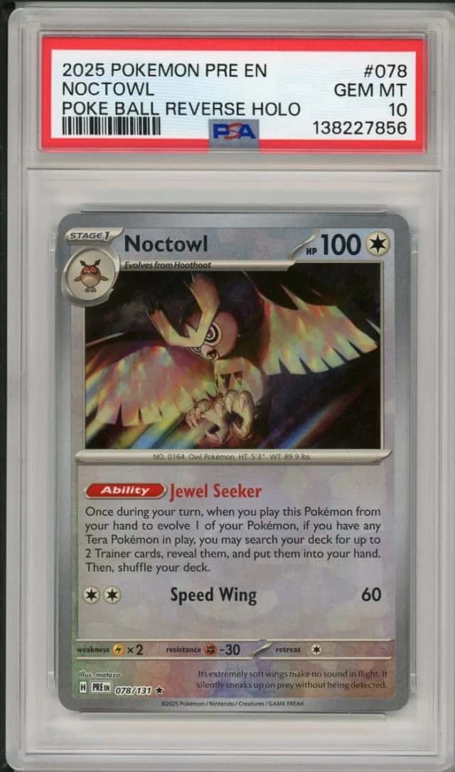 Noctowl