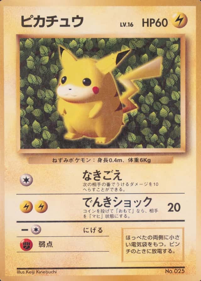 Non-Holo · Non-Glossy · Easily How Play To Understand