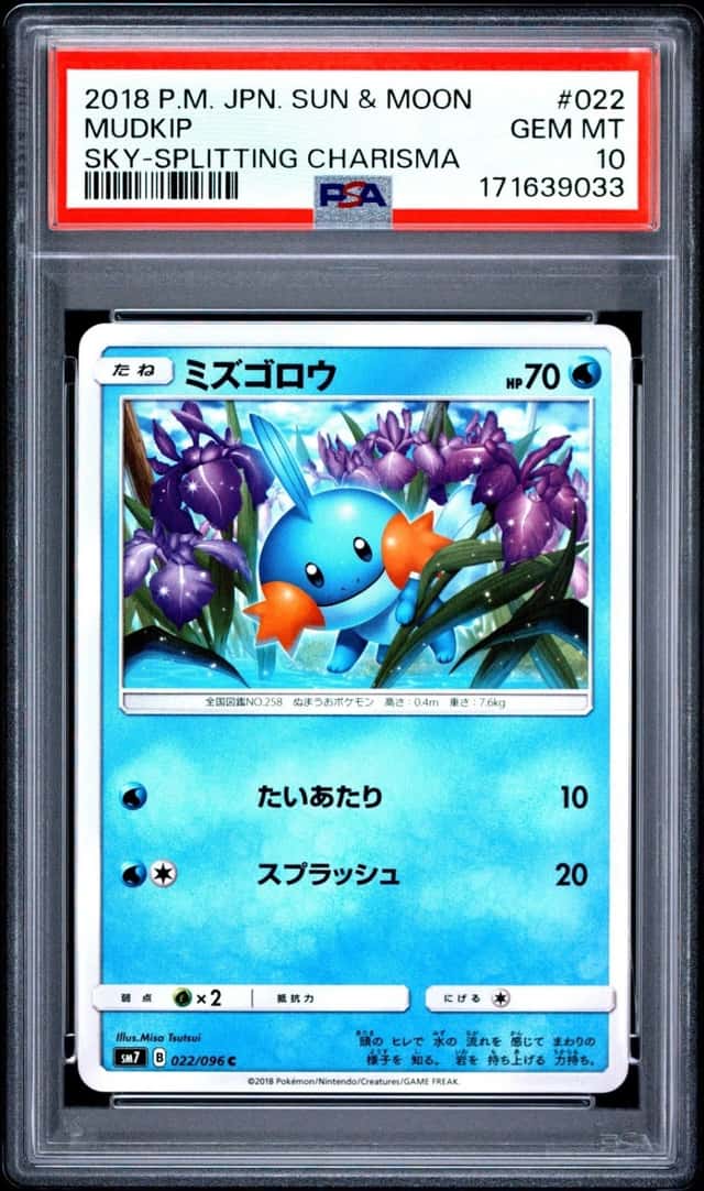 Mudkip